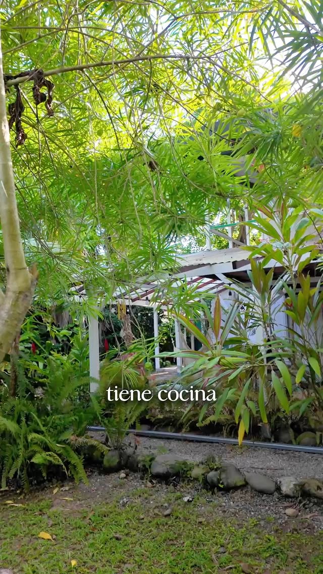 Casa Boho