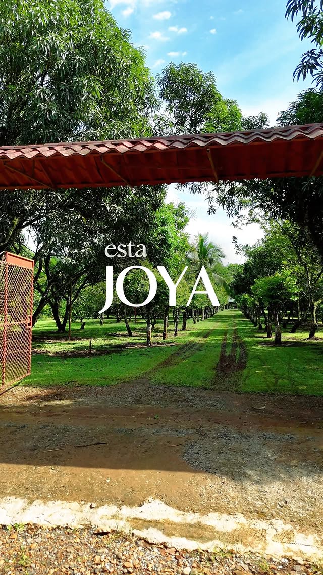 Itos Real Estate